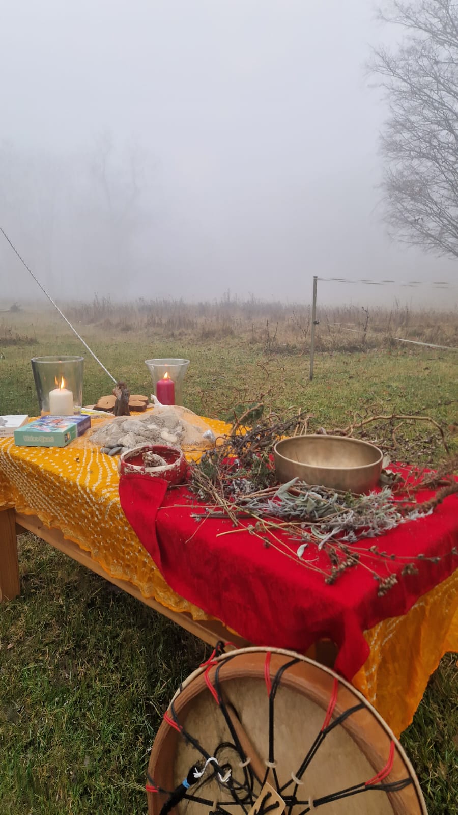 WhatsApp Image 2025-12-29 at 14.29.29.jpeg